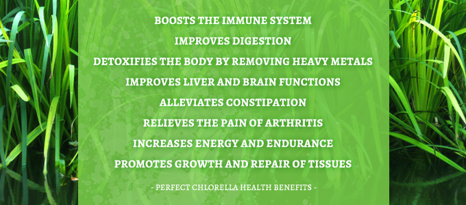 chlorella-benefits-1