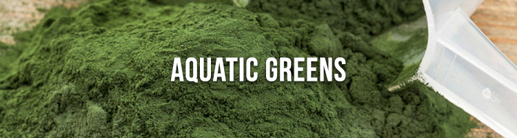 Aquatic Greens