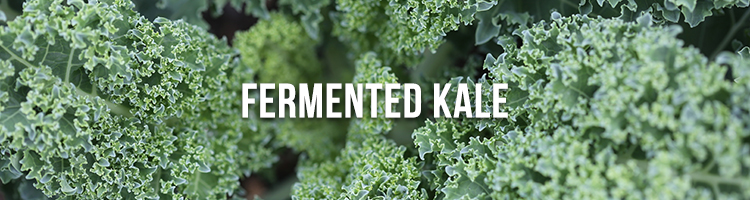 Fermented Kale