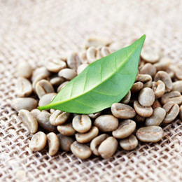 green-coffee-main